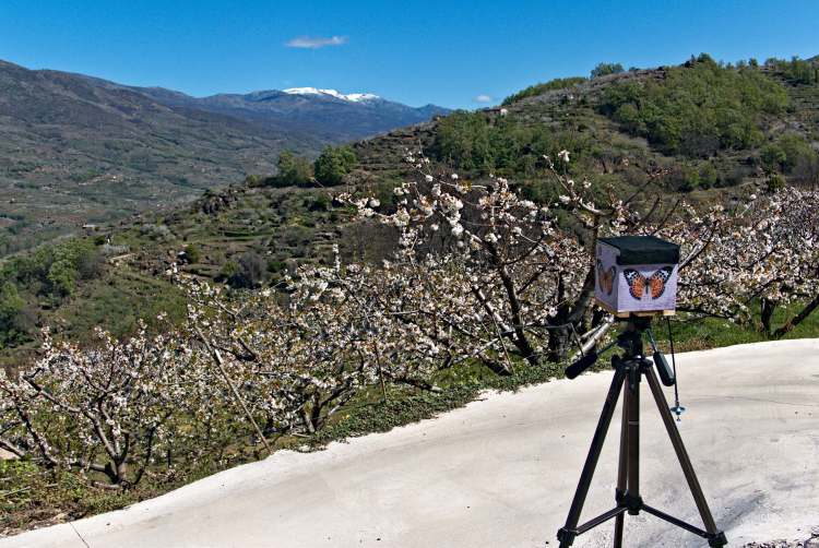 Cámara estenopeica fabricada por José Antonio Verde en el Valle del Jerte