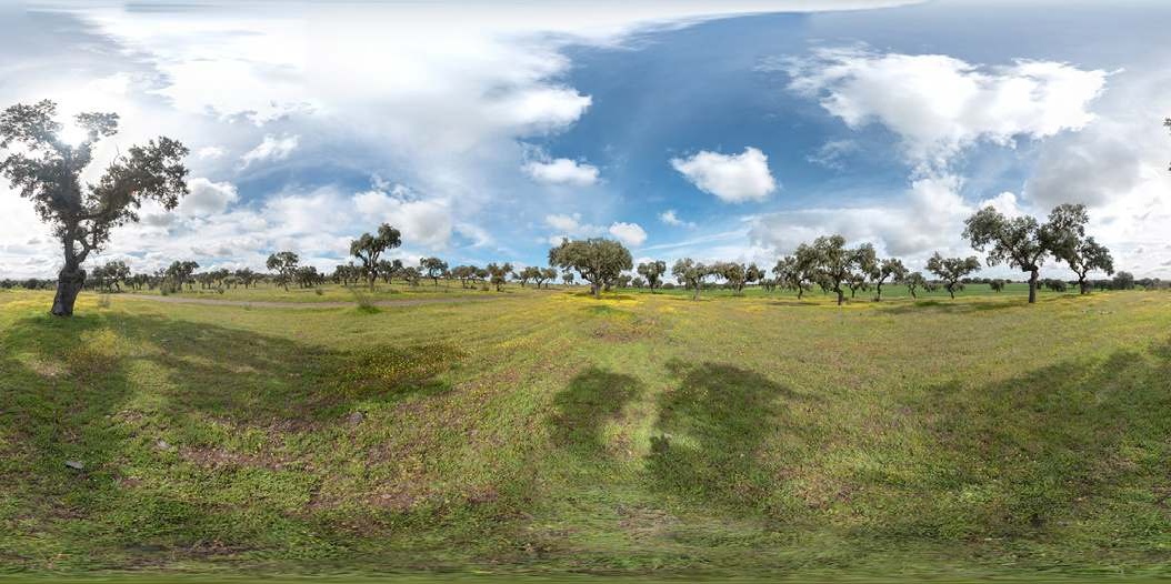 Panorámica esférica dentro de una dehesa