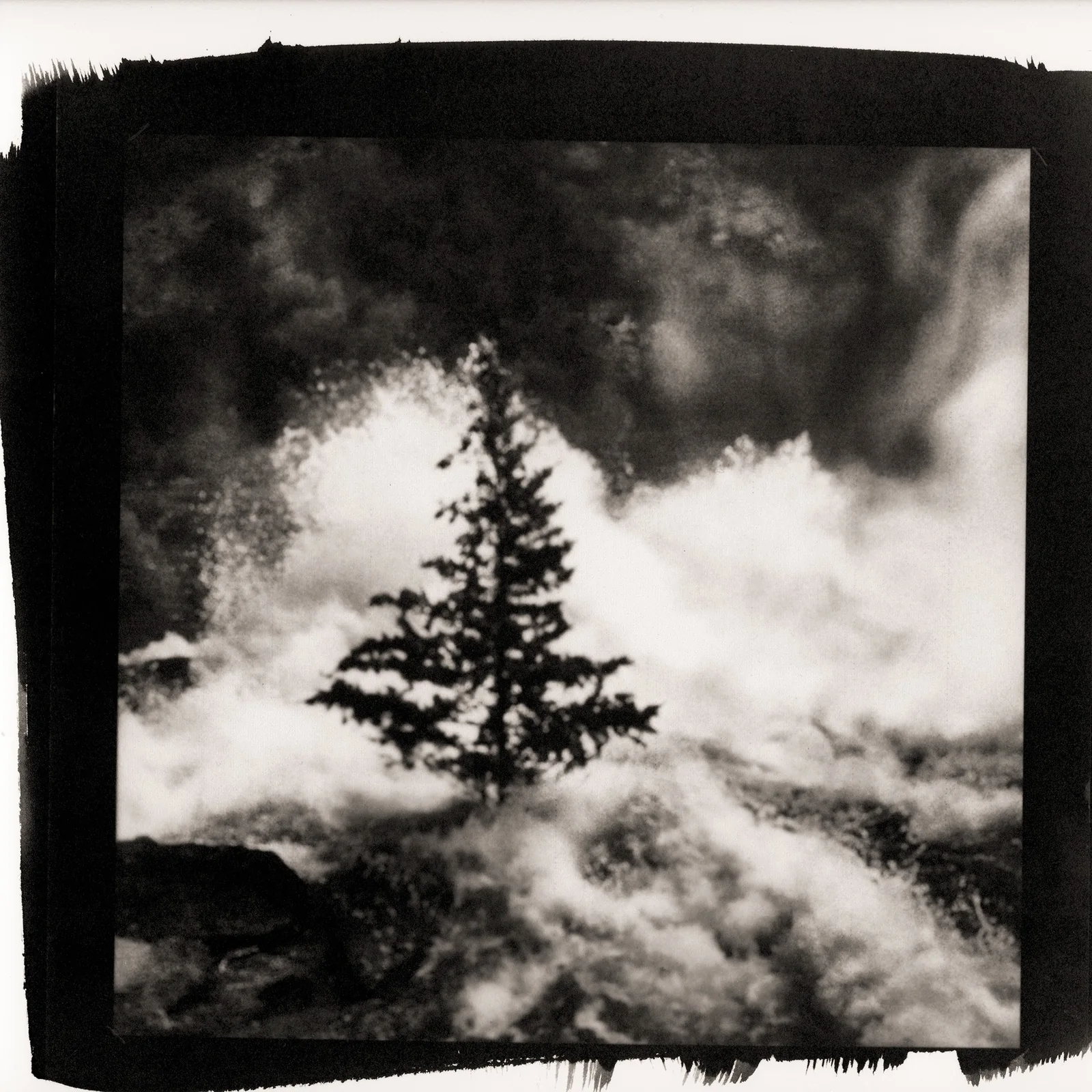 Árbol bajo un cielo de nubes en una calitipia de José Manuel Magano