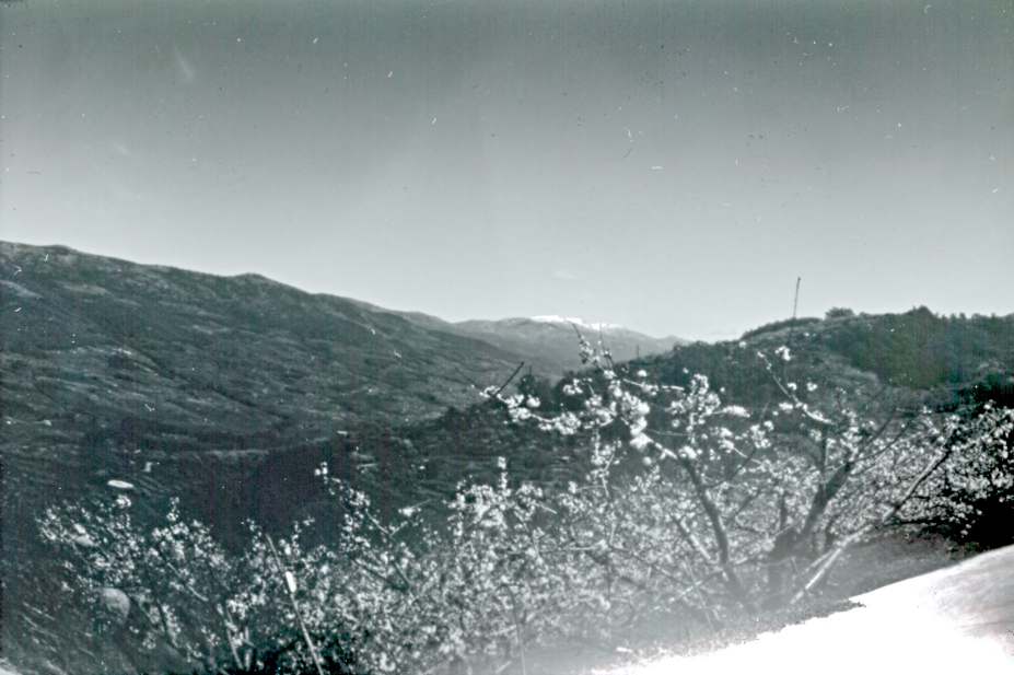 Valdeastillas en el Valle del Jerte con la Sierra de Gredos nevada al fondo
